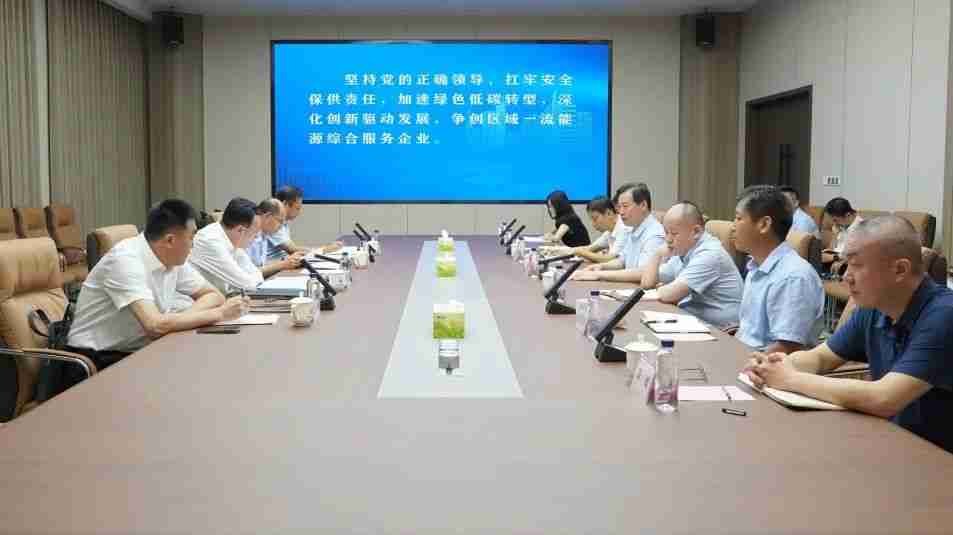 市委常委、副市長沙向東帶隊到市能源集團 調研指導工作